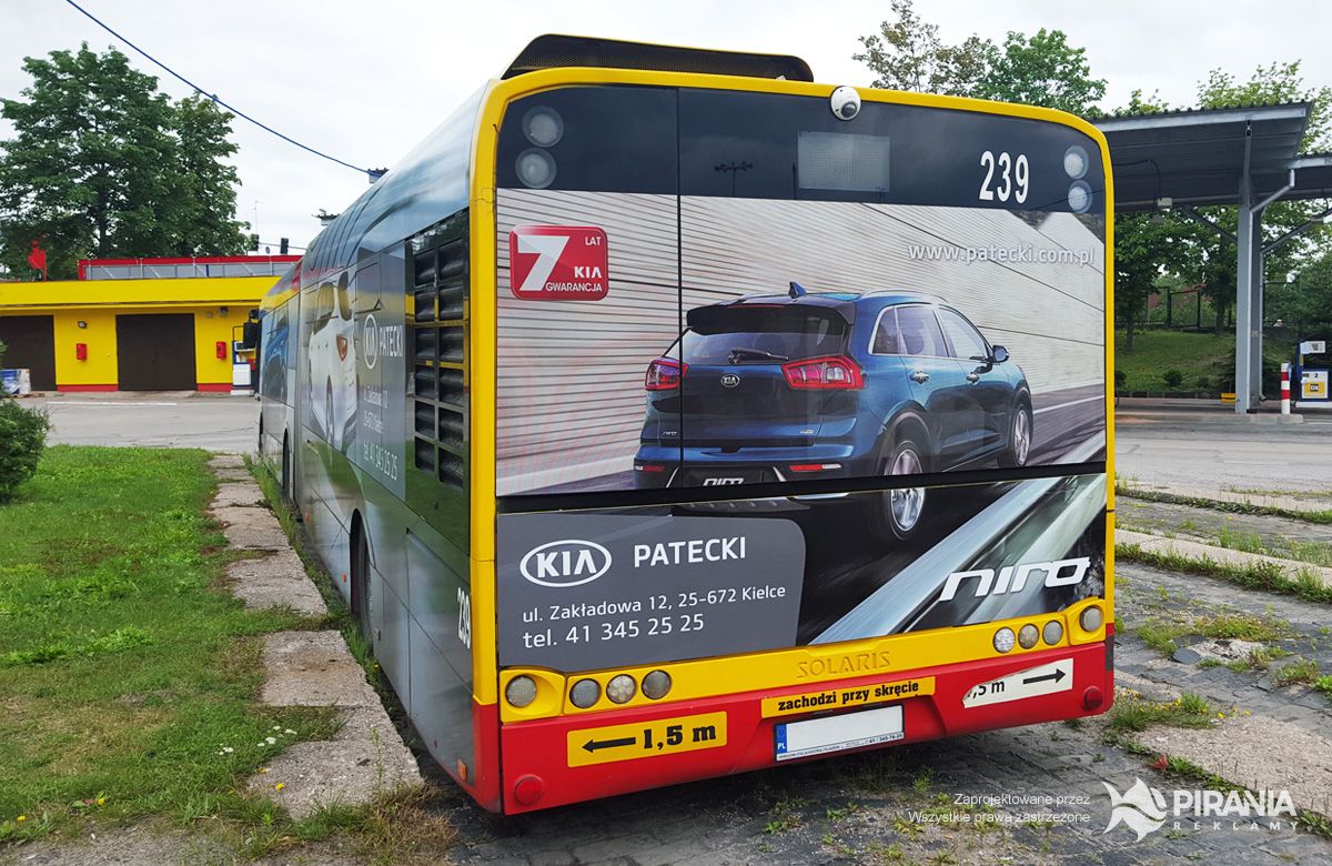auta 36
